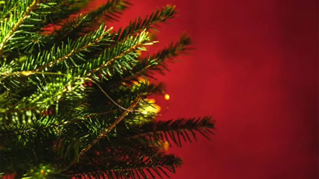 Navidad Tamaulipas: ¿Cuando se pone el árbol de Navidad?