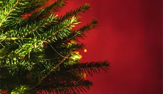 Navidad Tamaulipas: ¿Cuando se pone el árbol de Navidad?