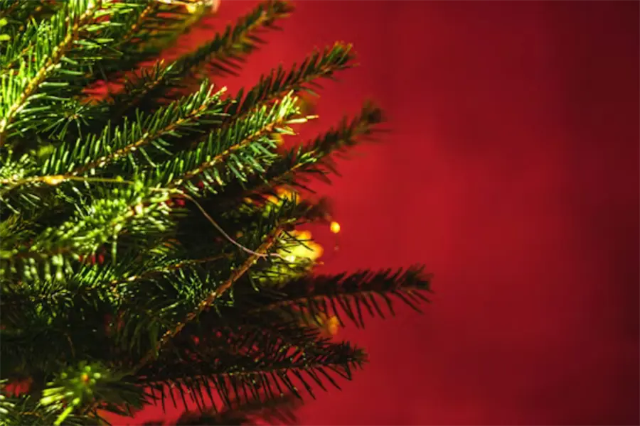 Navidad Tamaulipas: ¿Cuando se pone el árbol de Navidad?