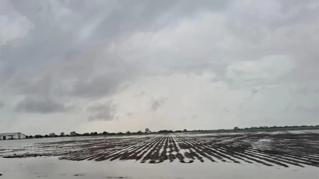 Por esta razón quieren que distrito de riego 025 en Tamaulipas sea ahora zona temporal