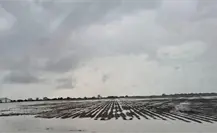 Por esta razón quieren que distrito de riego 025 en Tamaulipas sea ahora zona temporal