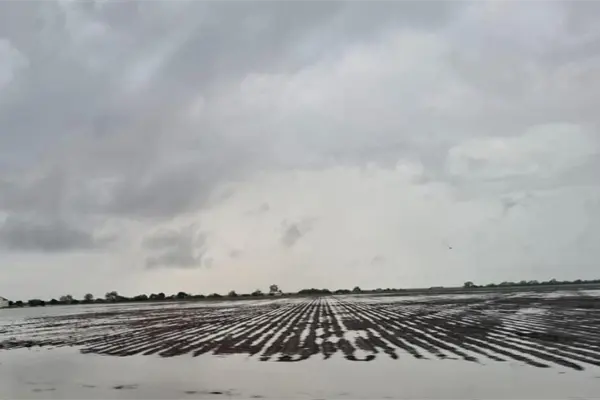 Por esta razón quieren que distrito de riego 025 en Tamaulipas sea ahora zona temporal