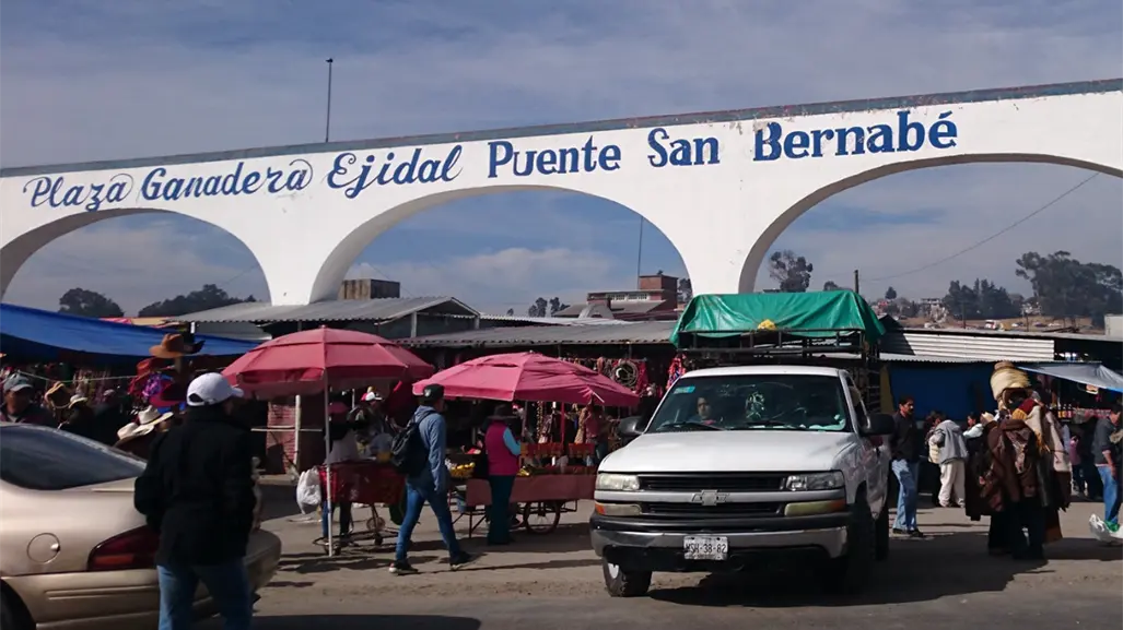 Tianguis del Puente de San Bernabé en Almoloya de Juárez: tradición con venta de autos, ganado y mucho más