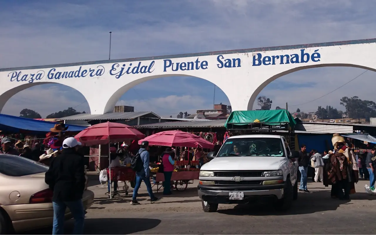 El Tianguis del Puente de San Bernabé, en Almoloya de Juárez, ofrece ganado, ropa, autos y comida. Foto: FB/ Plaza Ganadera Ejidal Puente de San Bernabe (Canva)