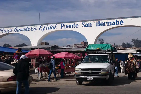 Tianguis del Puente de San Bernabé en Almoloya de Juárez: tradición con venta de autos, ganado y mucho más
