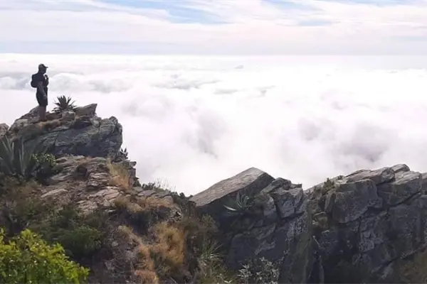 ¿Te imaginas caminar por encima de las nubes? Este sendero de BCS lo hace posible ¿Te imaginas caminar por encima de las nubes? Este sendero de BCS lo hace posible