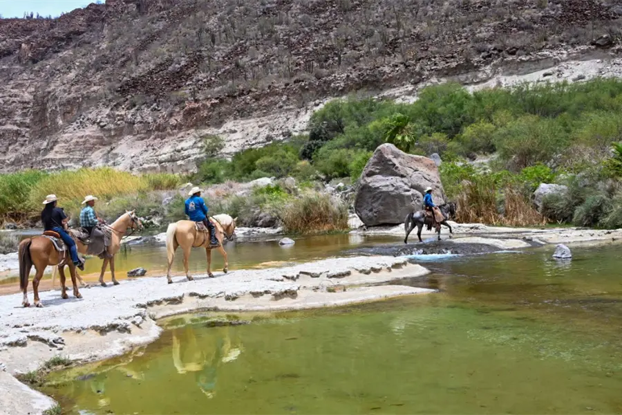 Cabalgata con causa en La Purísima: fecha, ruta y cómo participar en apoyo a Jaciel Mayoral