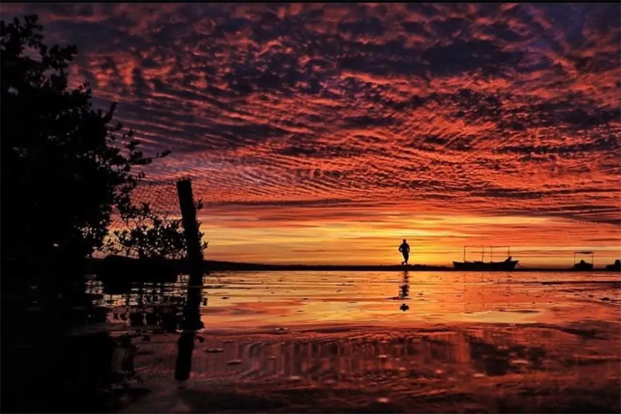 ¿Qué hacer en Baja California Sur este marzo? Conoce el calendario completo de eventos