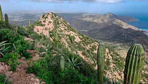 Frente frío 46 se retira de la península de Baja California; así afecta en el clima de BC y BCS