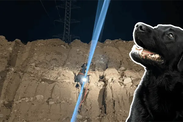 FOTOS | Así fue el rescate de un perrito que cayó 10 metros en un cerro de La Paz FOTOS | Así fue el rescate de un perrito que cayó 10 metros en un cerro de La Paz