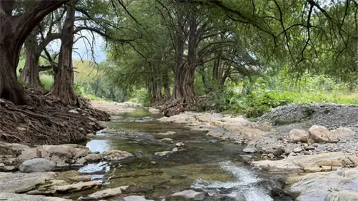 Río La Silla: el oasis natural de Guadalupe donde las familias disfrutan del agua y la naturaleza Río La Silla: el oasis natural de Guadalupe donde las familias disfrutan del agua y la naturaleza