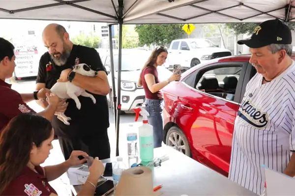 Escobedo impulsa la adopción responsable de mascotas; se realizaron campañas de vacunación y esterilización Escobedo impulsa la adopción responsable de mascotas; se realizaron campañas de vacunación y esterilización