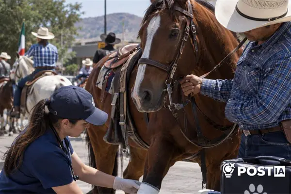 Coahuila analiza nuevos servicios veterinarios para eventos con animales