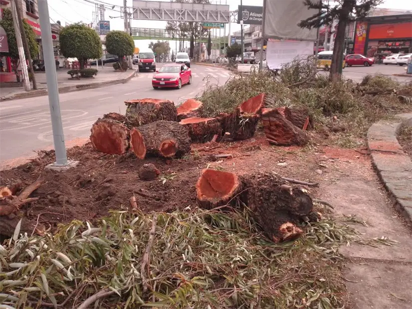 imagen recuadro
